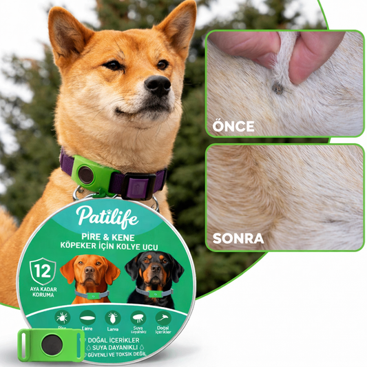 Patilife™ – Kedi ve Köpekler İçin Doğal Pire & Kene Tasması